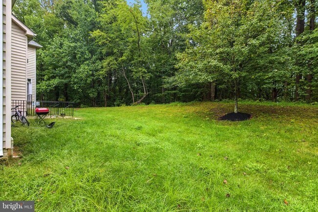 Building Photo - 13309 Big Cedar Ln