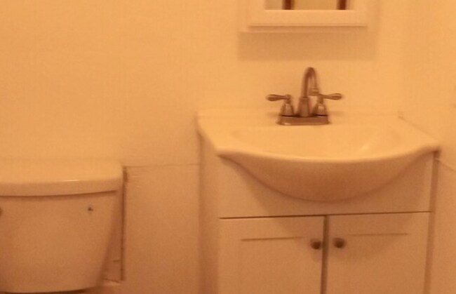 bathroom 1 - 43 Wawayanda Ave