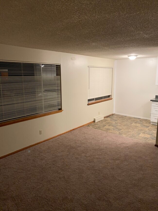 Living Room - 9286 50th Ave S