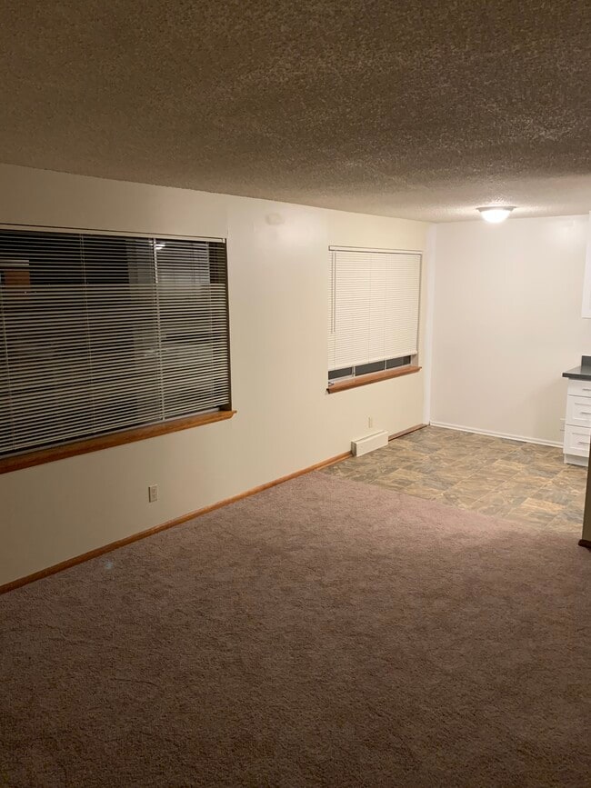 Living Room - 9286 50th Ave S