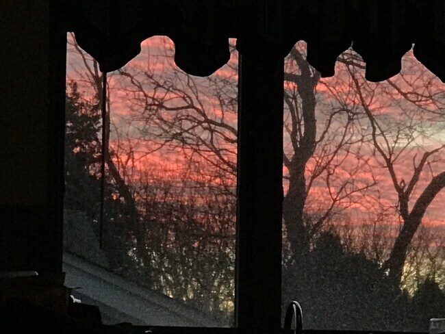 Kitchen window view - 49 Maywood Rd