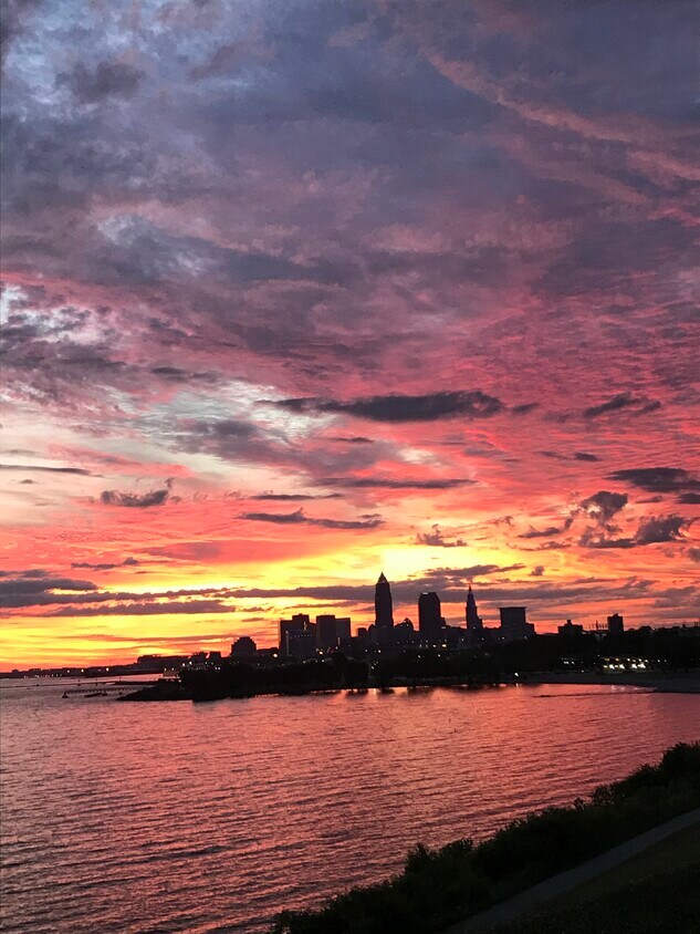 Rooftop summer pre sunrise view - 11850 Edgewater Dr