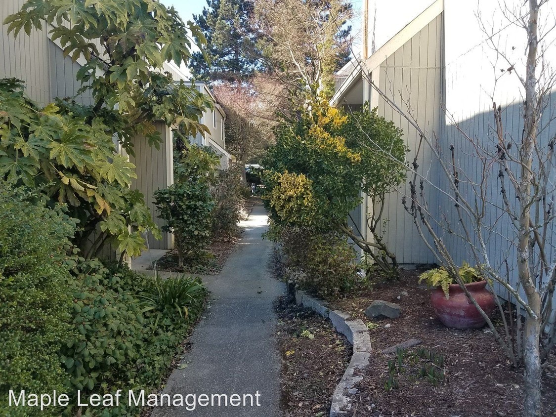 Primary Photo - 8424 25th Ave SW