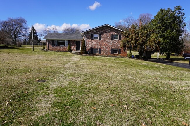 Building Photo - 942 Mildred Dr