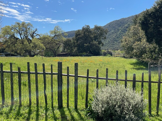 View from house in winter and spring - 274 W Carmel Valley Rd