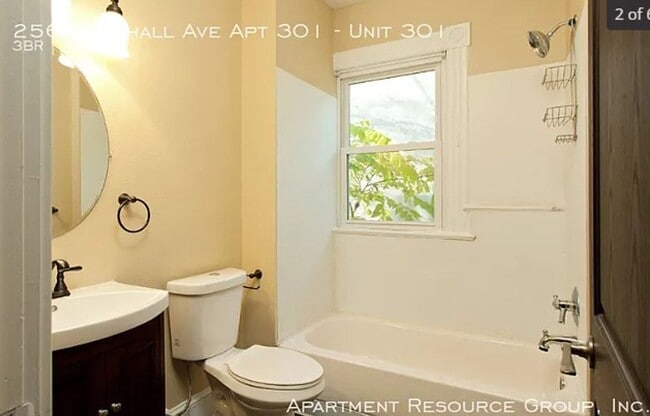 Interior Photo - 256 Marshall Ave