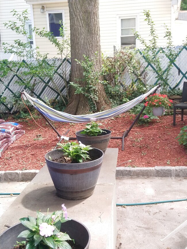 Enjoy the hammock - 24 Jervis Rd