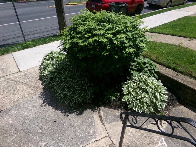 Foto del edificio - 324 S West End Ave