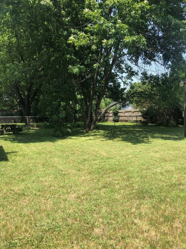 Backyard - 614 Roberts St