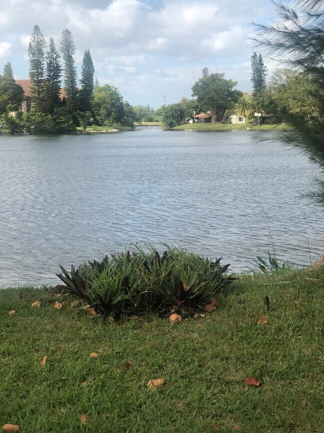 Lake - 3411 Pear Tree Cir