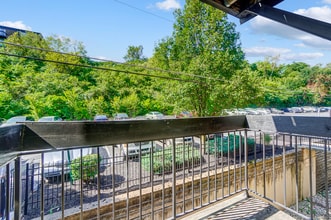 020.jpg - The Views of Mt Airy