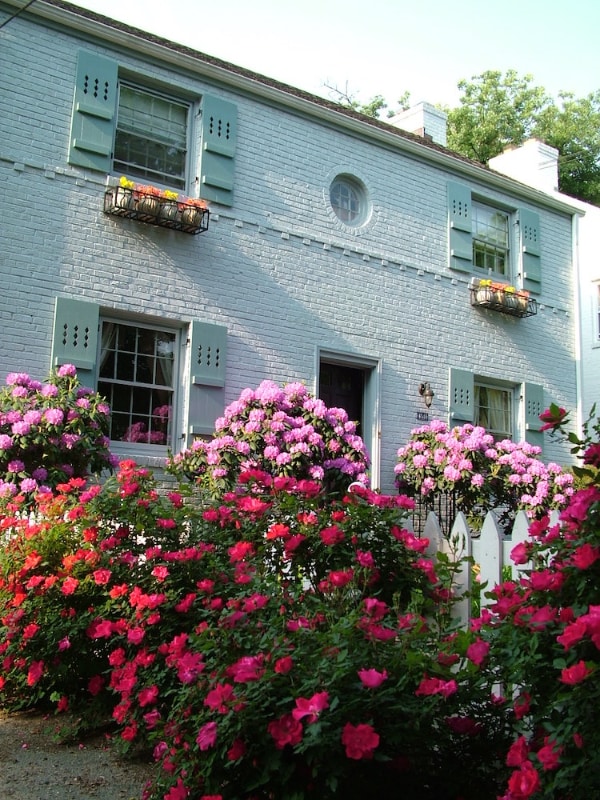 Foto del edificio - 4514 Albemarle St NW