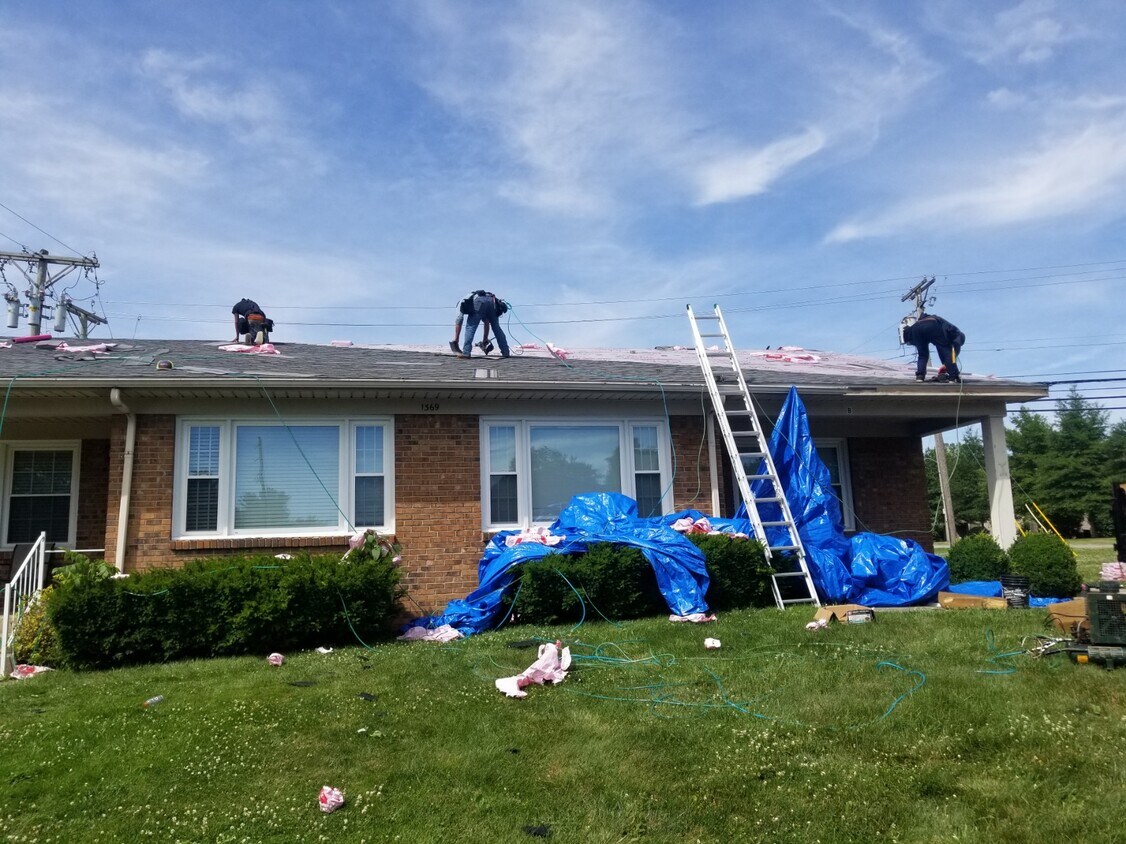 1369 Leaning Tree Ln, Lexington, KY 40517 Townhome Rentals in