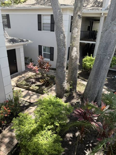 Foto del edificio - 5221 Bayshore Blvd