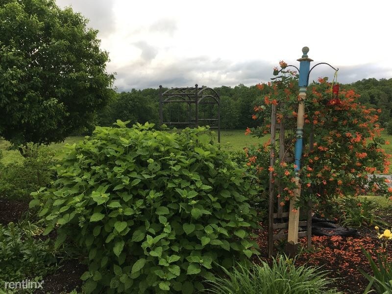 Foto principal - 3 br, 3.5 bath House - 388 Carpenter Road