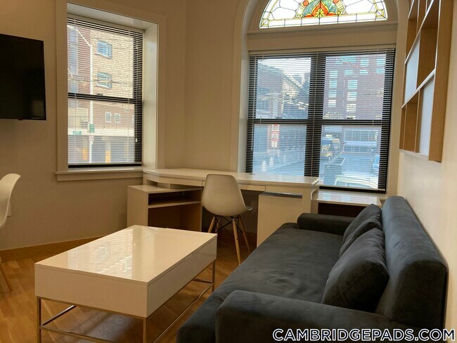 Building Photo - 115 Mt Auburn St