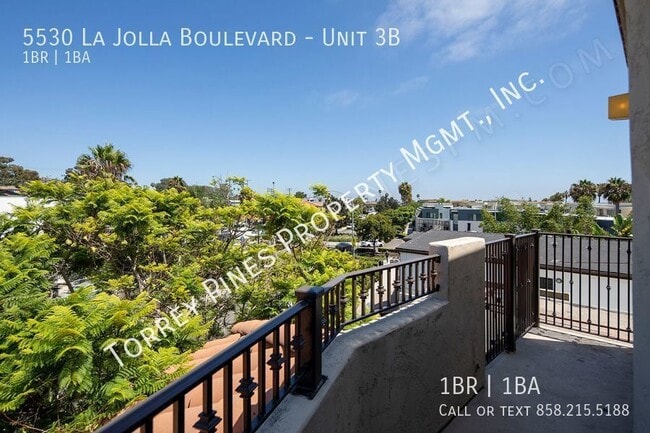 Building Photo - OPEN HOUSE: 8/31 3-4PM ~ 1 Br in Bird Rock...