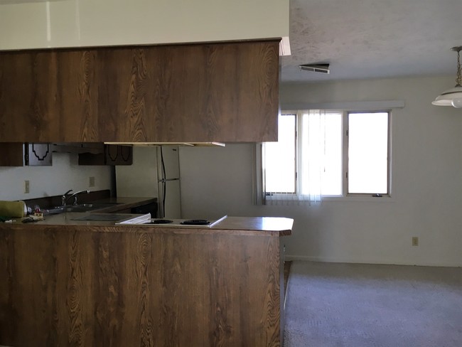 kitchen area - 109 E 10th St