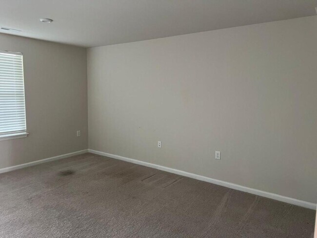 Building Photo - 1007 Romeria Dr