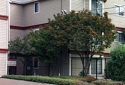 Foto del edificio - Hawthorne Manor - 2 bedrooms