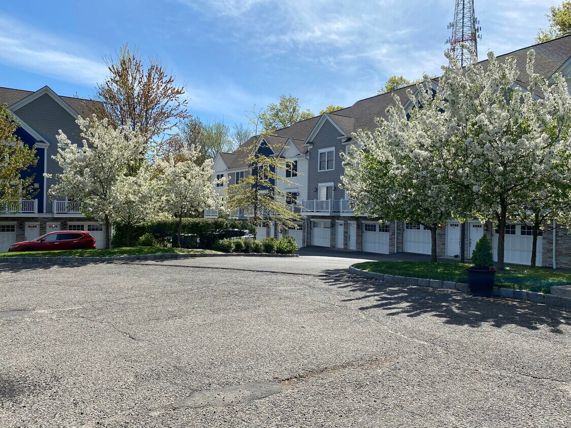 Primary Photo - 12 Willard Rd