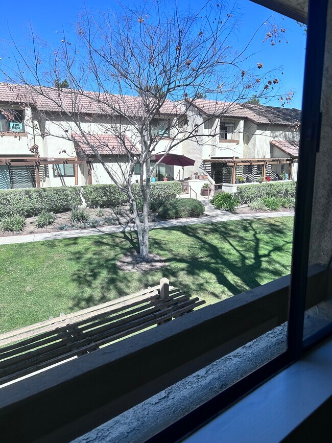 Foto del edificio - 781 Danville Dr