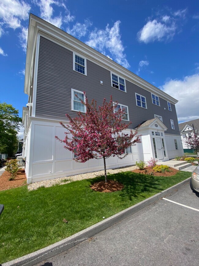 Building Photo - 43 Saunders St