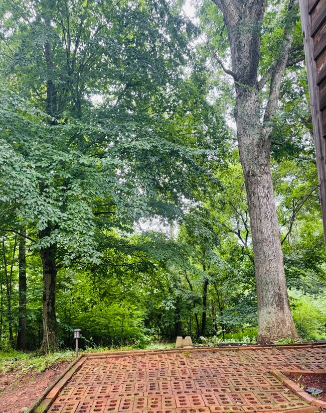 Building Photo - 37 Cedar Hill Ln