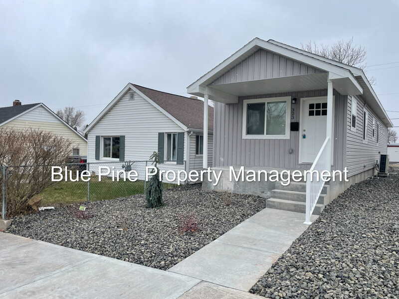 Primary Photo - 323 Gladstone St