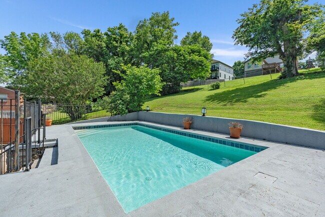 Pool - 915 Preston Dr