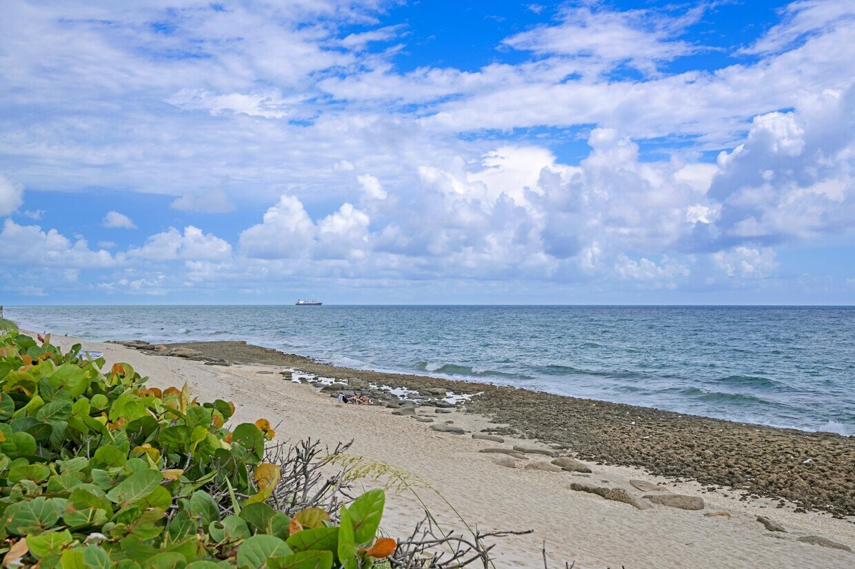 Foto principal - 4200 N Ocean Dr