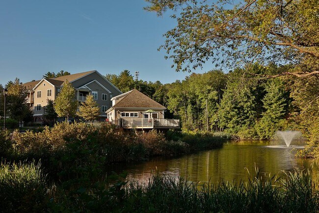HERMOSOS PAISAJES CON LAGUNA - Mill Commons