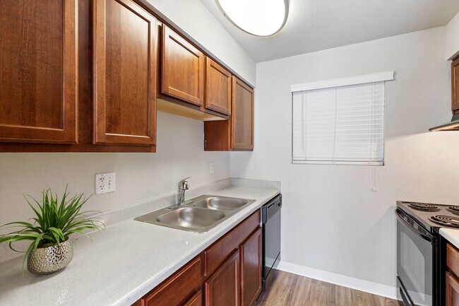 Apartamentos Belmar Villas — foto de la comunidad - Belmar Villas