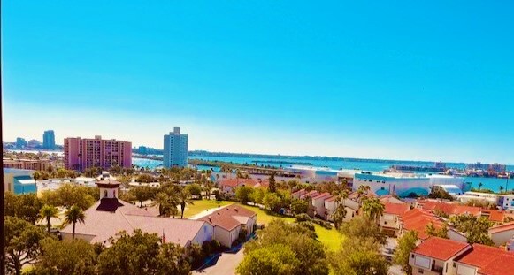 YOUR VIEW - 255 Dolphin Pt