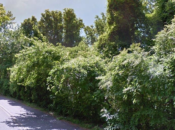 1011 Woodland Village Unit 1011, Birmingham, AL 35216 Condo for Rent