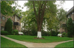 Squares of Bensenville - Accent Apartments