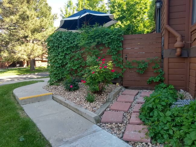 Patio gate and greenery - 8045 Holland Ct