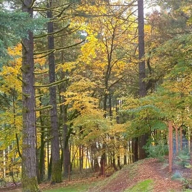 Building Photo - Beautiful Large 1 Bedroom Apartment in McMinnville