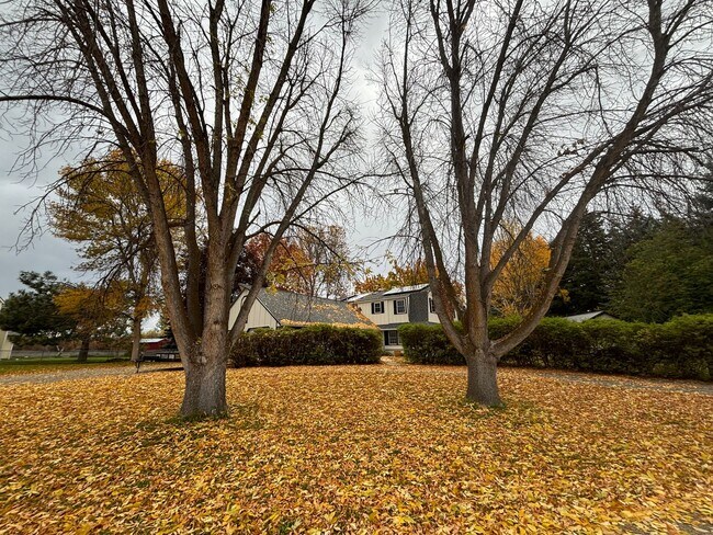 Foto del edificio - Spacious 4BR, 2.5BA home on 1.3 acres in Orchard Homes