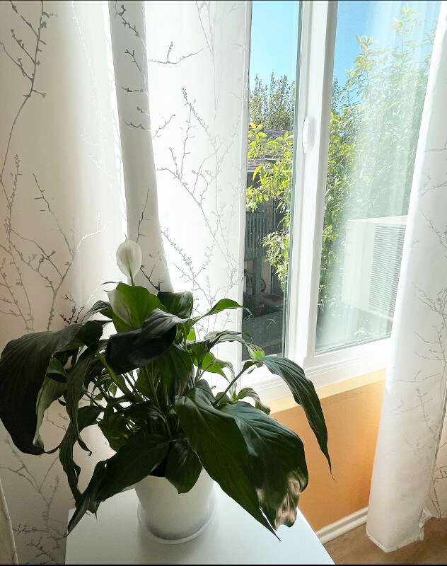 Foto del edificio - 23280 Orange Ave