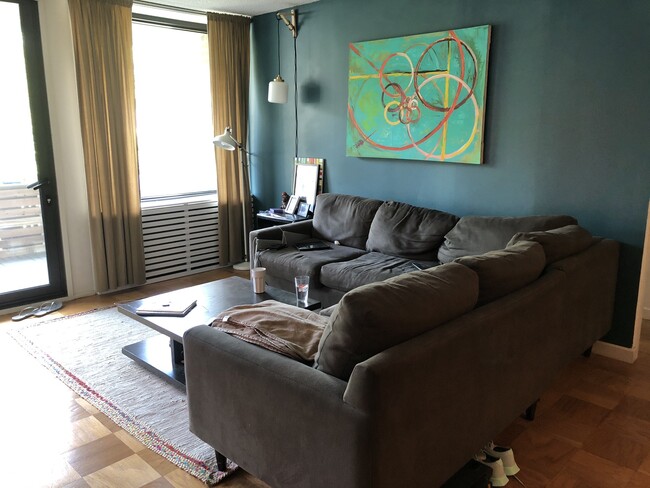 Huge living room (14'x15') and dining room (9'x14') combo area with additional closet at the entry. - 300 M St SW