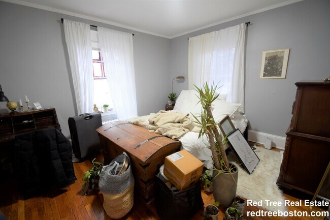 Foto del edificio - 237 Chestnut Hill Ave