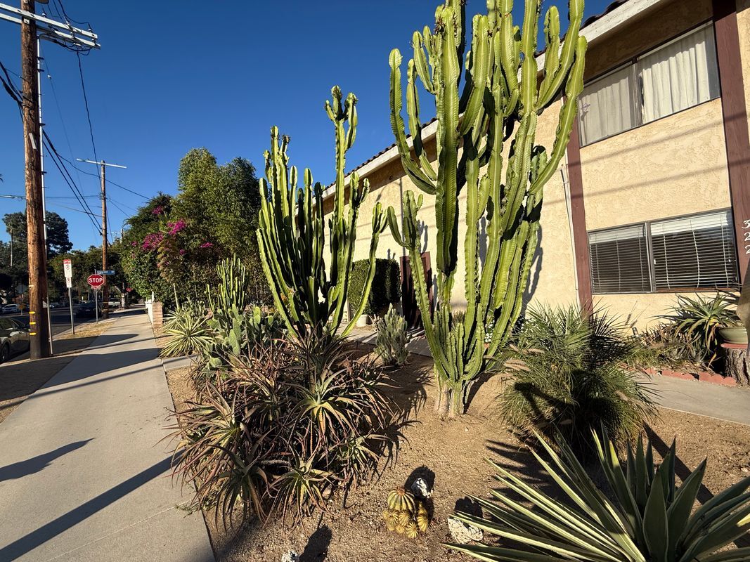 Primary Photo - 322 N Avenue 66