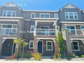 Building Photo - 211 Plum Tree St