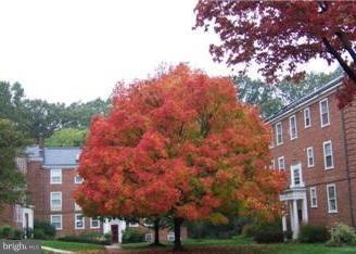 Foto del edificio - 3400 39th St NW