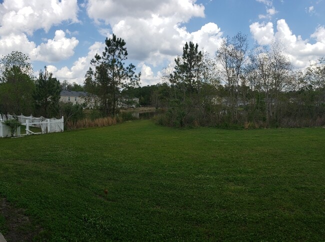Back Yard - 2717 Pineview Dr