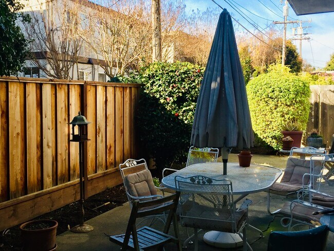 back yard - 1133 Paloma Ave