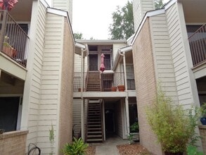 Building Photo - 3500 Tangle Brush Dr