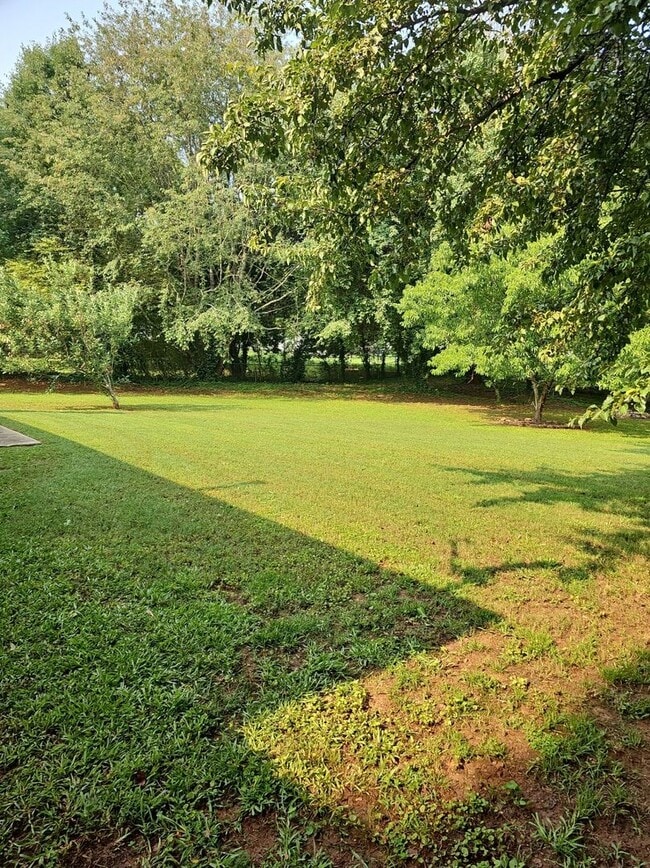 Building Photo - Henry County 3 bedroom, 2 Bath