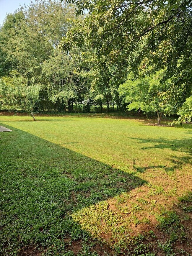Foto del edificio - Henry County 3 bedroom, 2 Bath